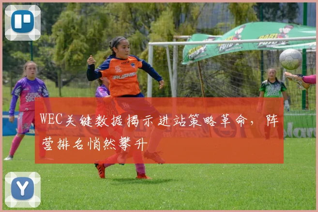 WEC关键数据揭示进站策略革命，阵营排名悄然攀升