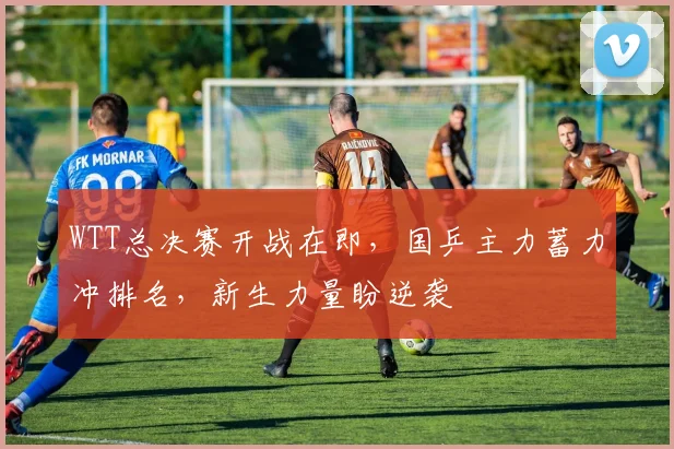 WTT总决赛开战在即，国乒主力蓄力冲排名，新生力量盼逆袭