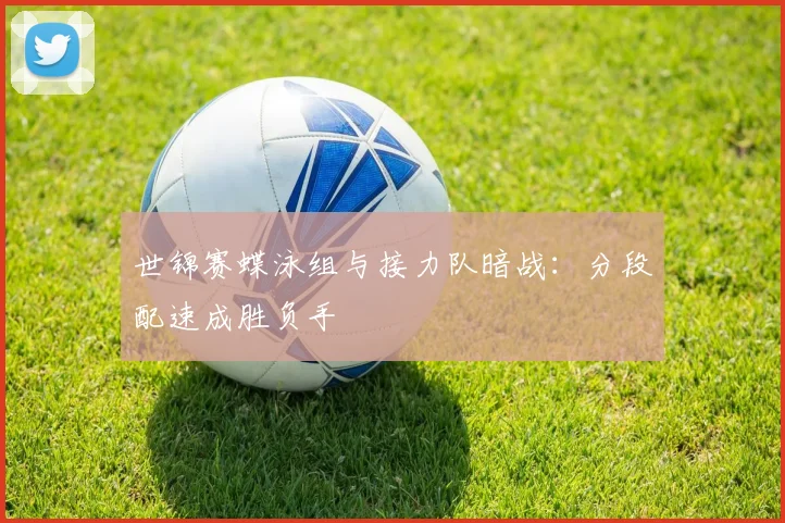 世锦赛蝶泳组与接力队暗战：分段配速成胜负手